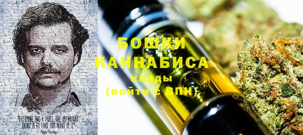 ешки Бородино