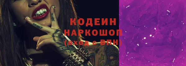 ешки Бородино