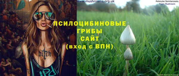 МДМА Богородицк