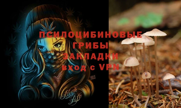 ешки Бородино