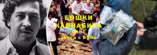 ешки Бородино