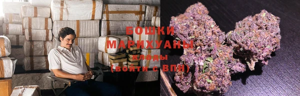 ешки Бородино