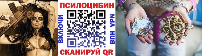 Псилоцибиновые грибы Cubensis  Навашино 